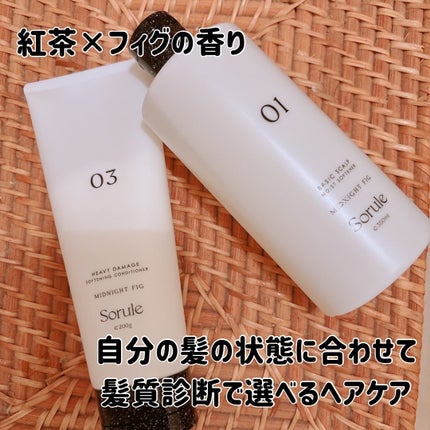 モイストソフナー 01ベーシックスカルプ/Sorule/市販シャンプーを使ったクチコミ(1枚目)