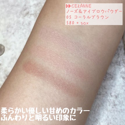 ノーズ&アイブロウパウダー/CEZANNE/パウダーアイブロウを使ったクチコミ(2枚目)