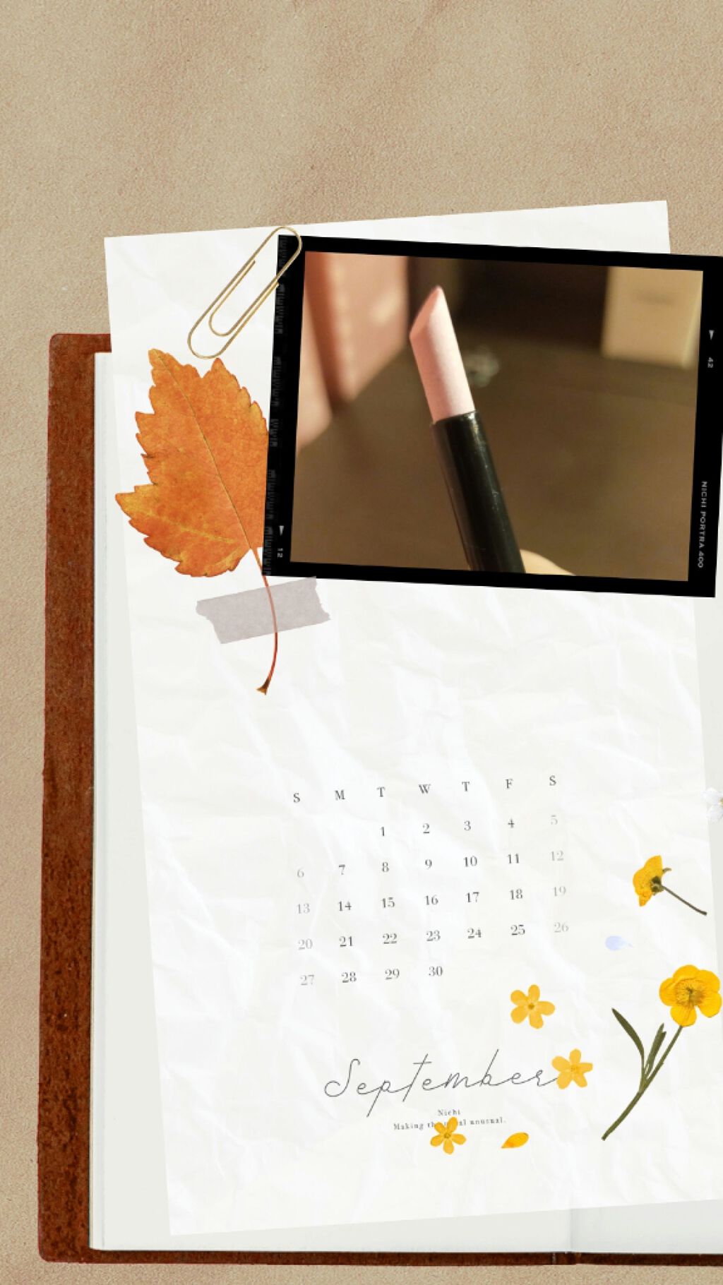 キューティクルストーン/セリア/ネイル用品を使ったクチコミ(1枚目)