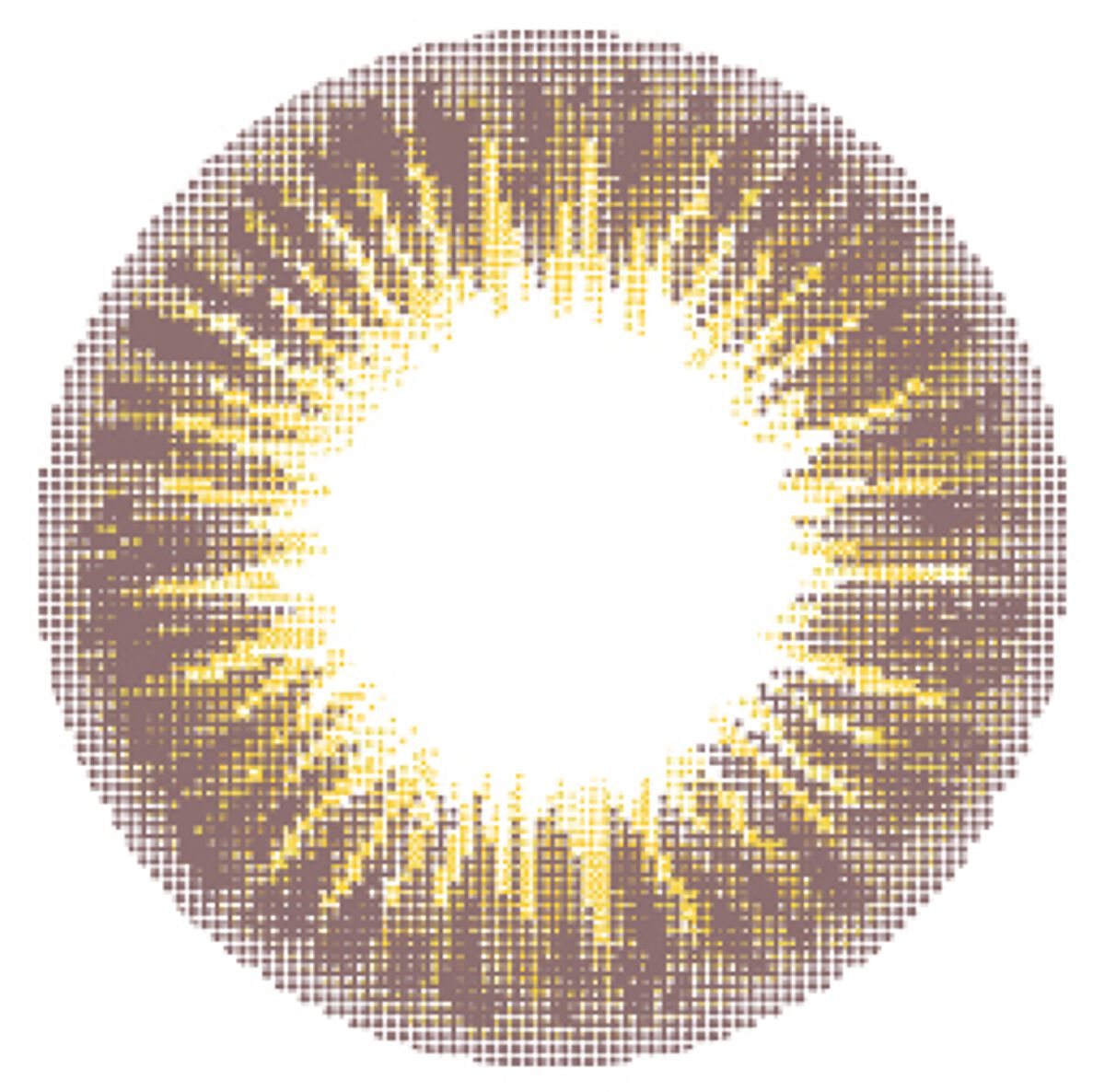 シピ(Chipi) ワンデー ロワールブラウン Loire Brown