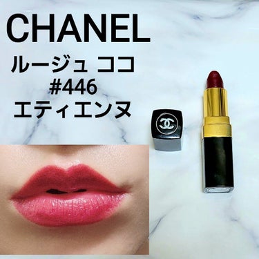 ルージュ ココ 446 エティエンヌ/CHANEL/口紅を使ったクチコミ（1枚目）