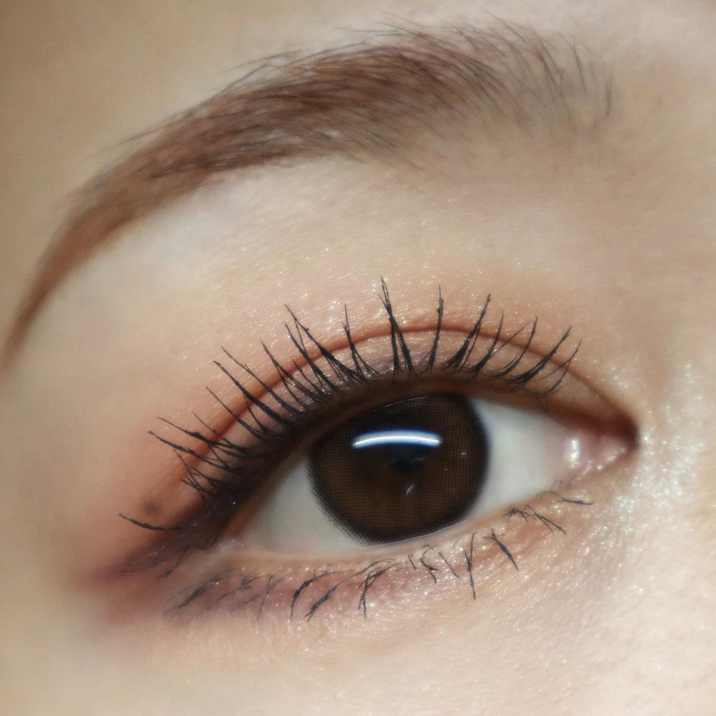 シグニチャー カラー アイズ/SUQQU/アイシャドウパレットを使ったクチコミ(7枚目)