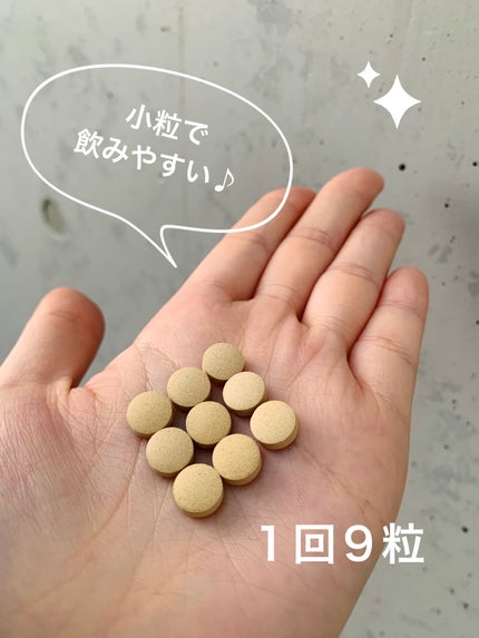 強力わかもと/わかもと製薬/健康サプリメントを使ったクチコミ(3枚目)