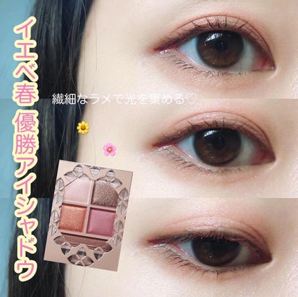 パノラマデザイン アイパレット/Visée/アイシャドウパレットを使ったクチコミ(1枚目)