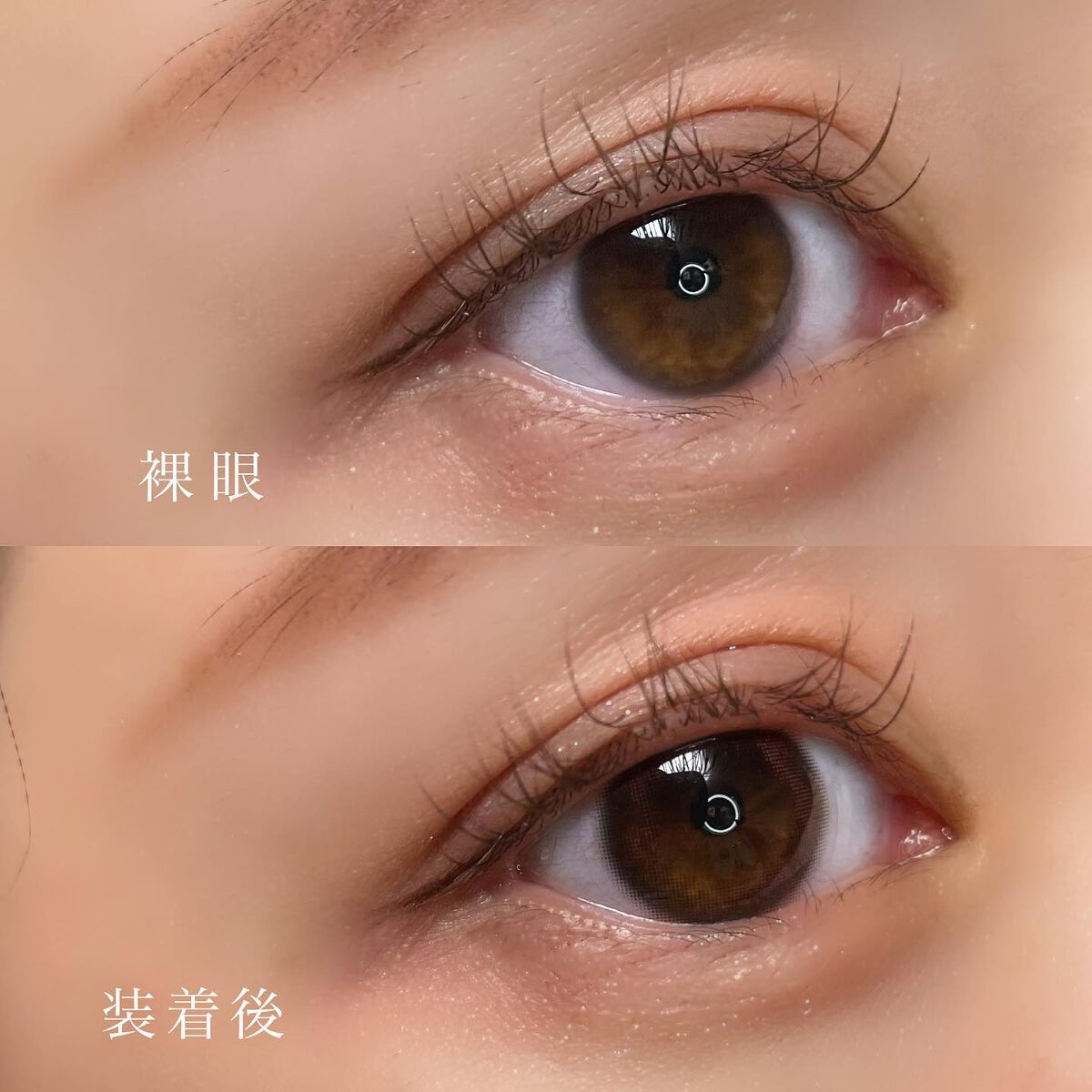 BELLSiQUE 1day/ベルシーク/ワンデー(1DAY)カラコンを使ったクチコミ(5枚目)