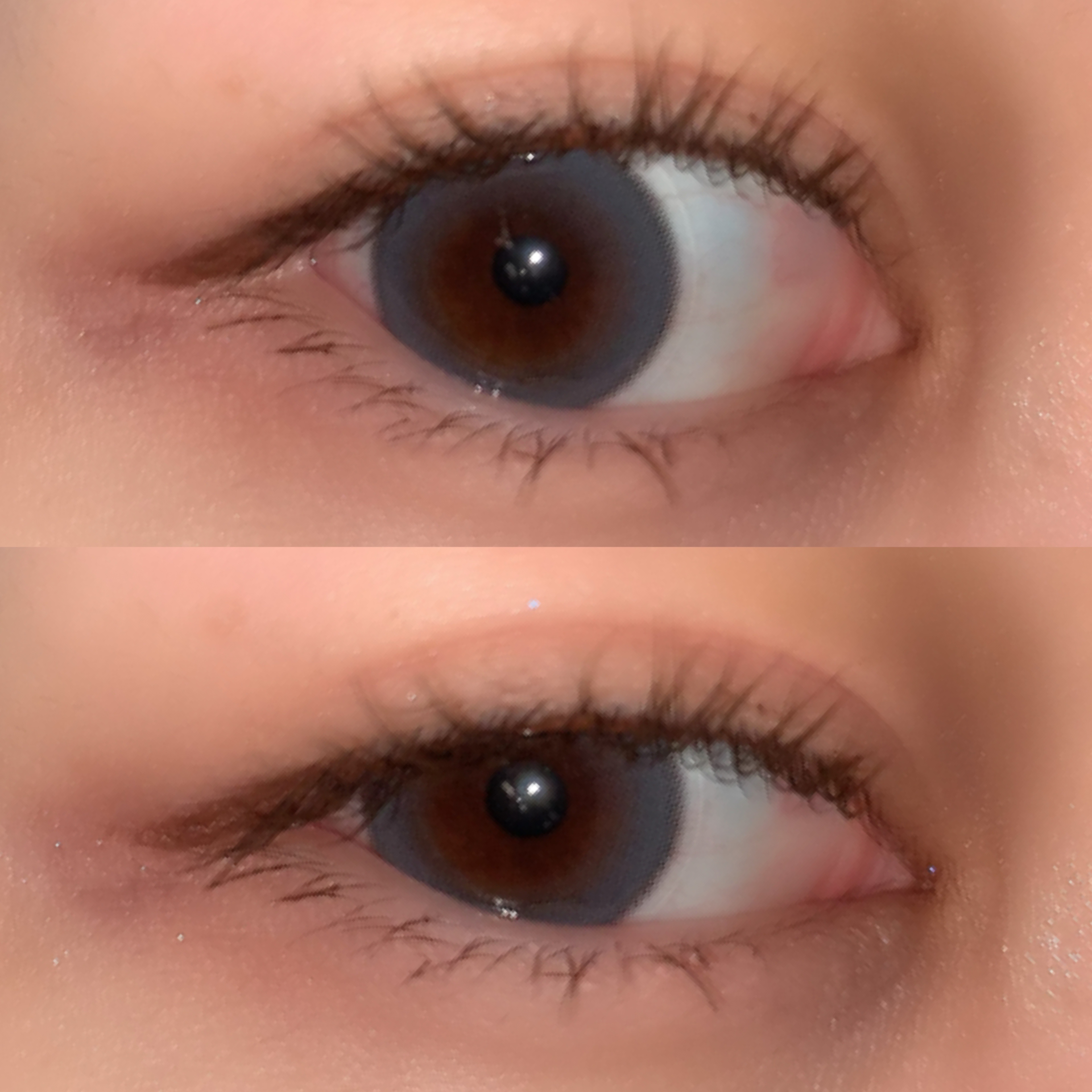 ハイパーリフトマスカラ/D-UP/マスカラを使ったクチコミ（3枚目）