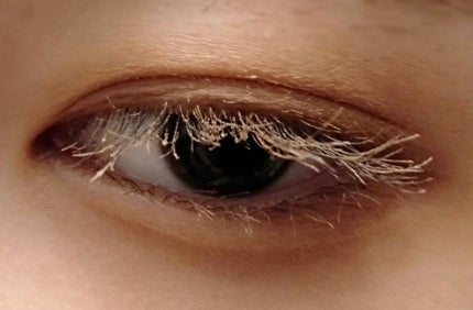 UR GLAM EYEBROW POWDER a /U R GLAM/パウダーアイブロウを使ったクチコミ(2枚目)