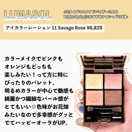 スキニーリッチシャドウ/excel/アイシャドウパレットを使ったクチコミ(8枚目)