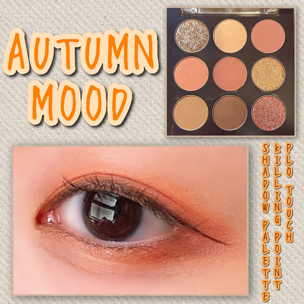 プロタッチ キリング ポイント シャドウ パレット/ネイチャーリパブリック/アイシャドウパレットを使ったクチコミ（1枚目）