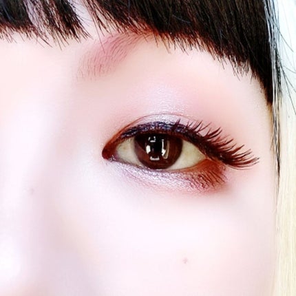 シルキースフレアイズ(マットタイプ)/キャンメイク/アイシャドウパレットを使ったクチコミ(5枚目)