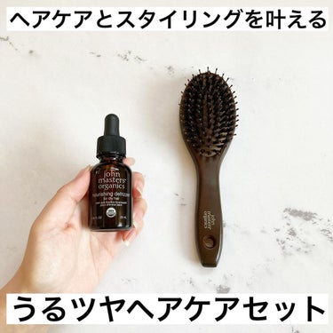 コンボパドルブラシ コンボパドルブラシミニ/john masters organics/ヘアブラシを使ったクチコミ（1枚目）