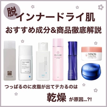 乾燥さん 乾燥さん薬用しっとり化粧液【医薬部外品】のクチコミ「脱インナードライ肌‼️
がちでインナードライに悩む女のおすすめ成分&スキンケア紹介🧸


皆様.....」（1枚目）