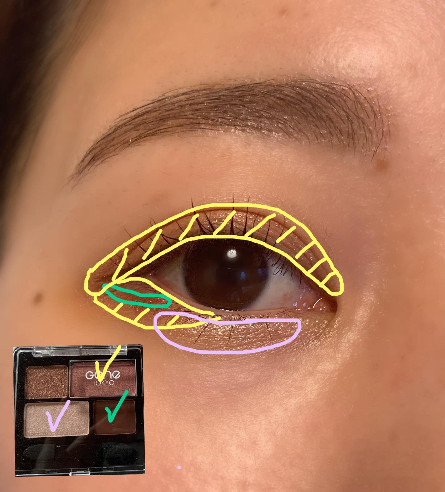 リラクシーアイシャドウ/GENE TOKYO/アイシャドウパレットを使ったクチコミ（3枚目）