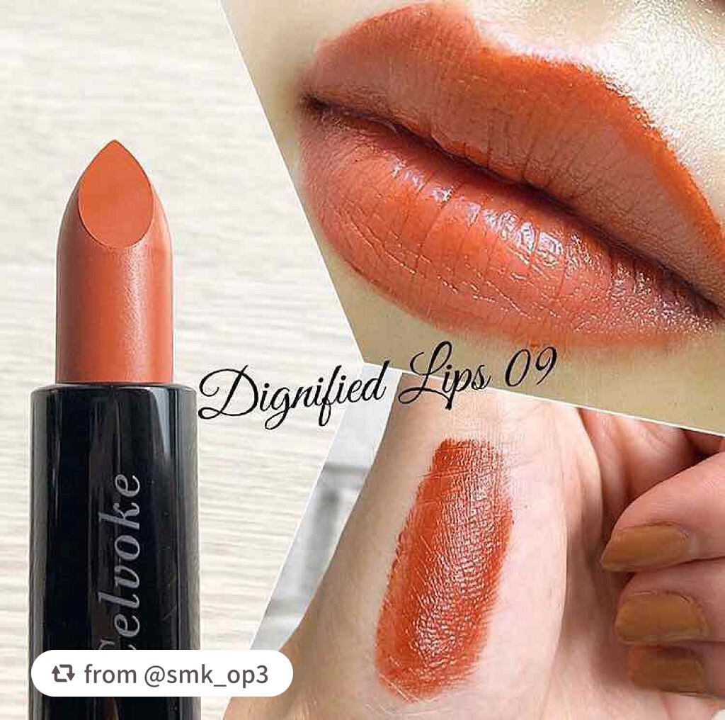 ディグニファイド リップス/Celvoke/口紅を使ったクチコミ(1枚目)