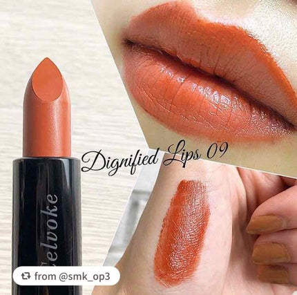 ディグニファイド リップス/Celvoke/口紅を使ったクチコミ(1枚目)