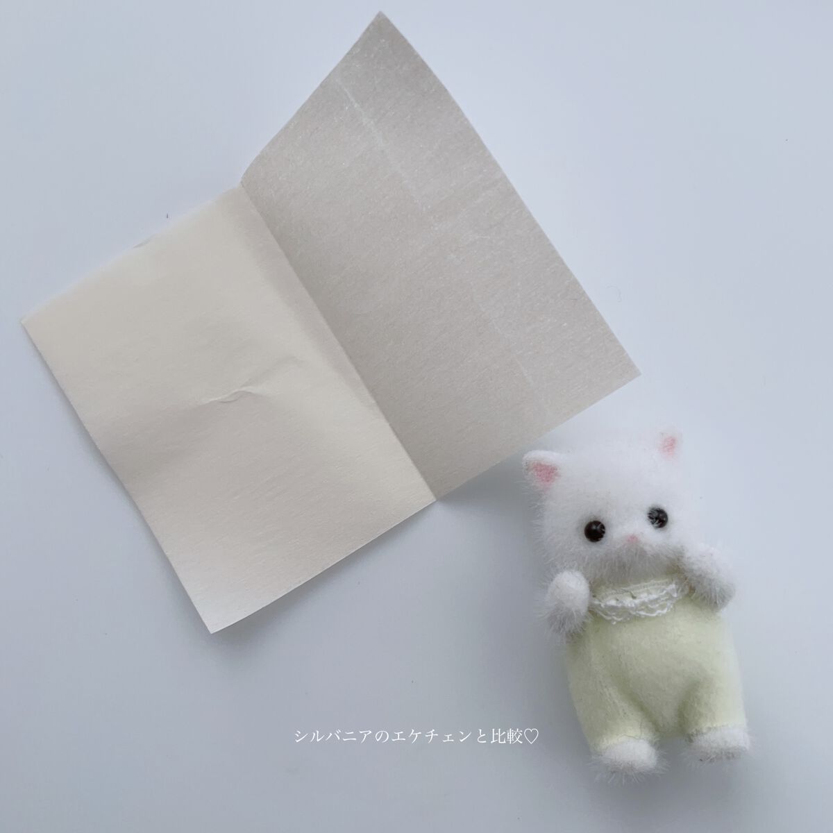 紙おしろい/無印良品/あぶらとり紙を使ったクチコミ（2枚目）