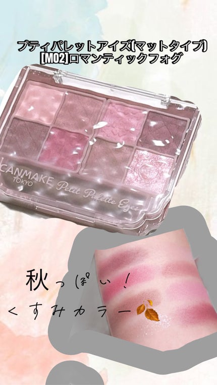 プティパレットアイズ(マットタイプ)/キャンメイク/パウダーアイシャドウを使ったクチコミ(1枚目)