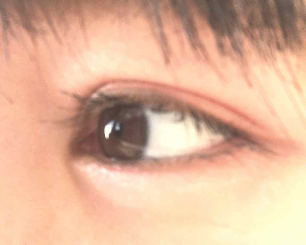 【旧品】パーフェクトスタイリストアイズ/キャンメイク/アイシャドウパレットを使ったクチコミ（2枚目）