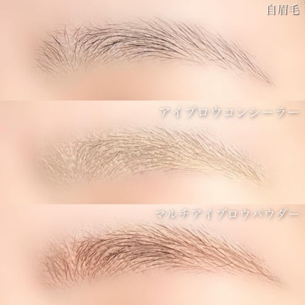フーミー マルチアイブロウパウダー/WHOMEE/パウダーアイブロウを使ったクチコミ(9枚目)