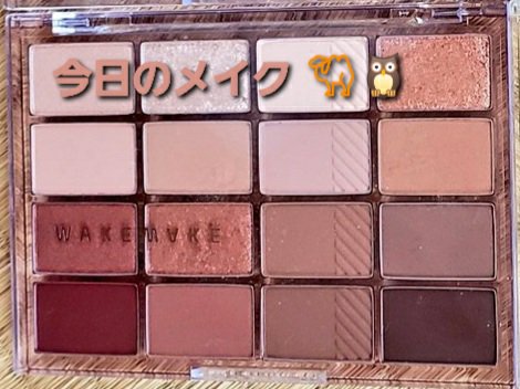 スキルレスライナー/LUMIURGLAS/リキッドアイライナーを使ったクチコミ（1枚目）