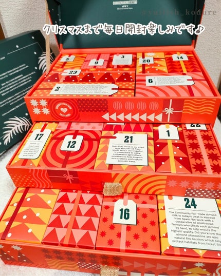 アドベントカレンダー セルフラブ/THE BODY SHOP/その他キットセットを使ったクチコミ(7枚目)