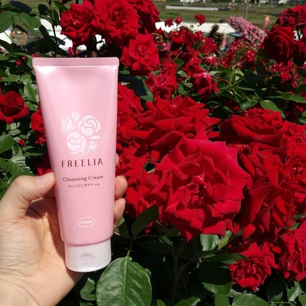 を使ったクチコミ(1枚目)