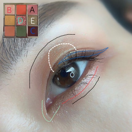 長相思シリーズ 9色アイシャドウパレット/CATKIN/アイシャドウパレットを使ったクチコミ(2枚目)