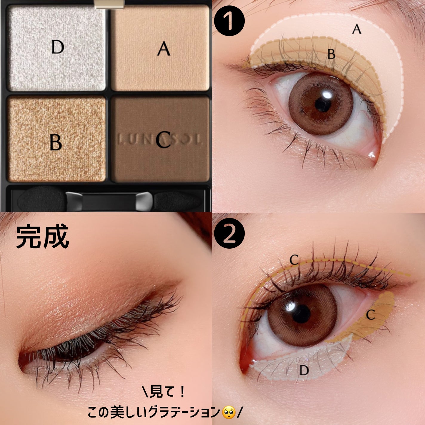 アイカラーレーション/LUNASOL/アイシャドウパレットを使ったクチコミ(2枚目)