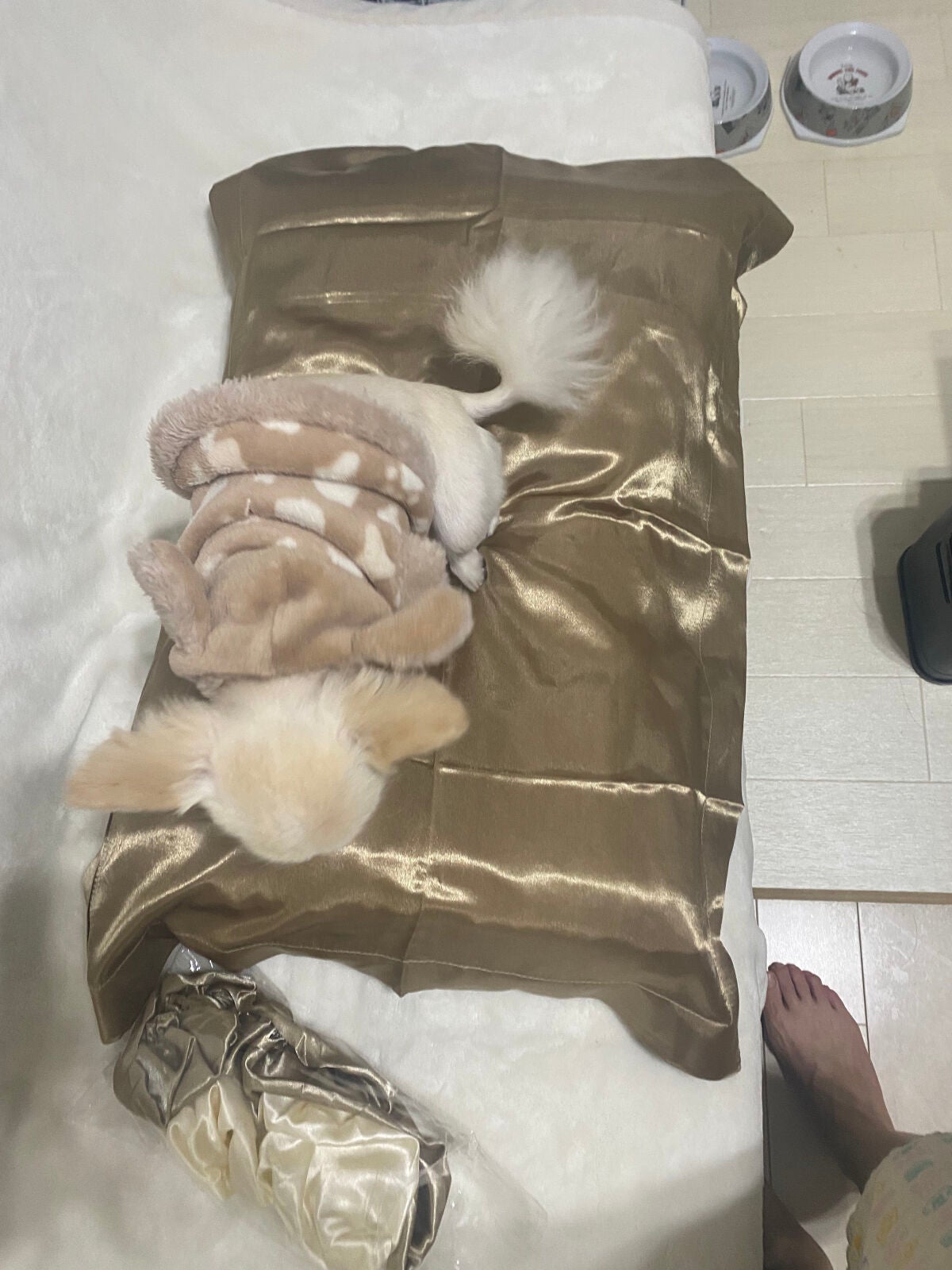 ナイトキャップ 美髪 ヘアキャップ 就寝用 パサつき予防/Qoo10/ヘアケアグッズを使ったクチコミ(6枚目)