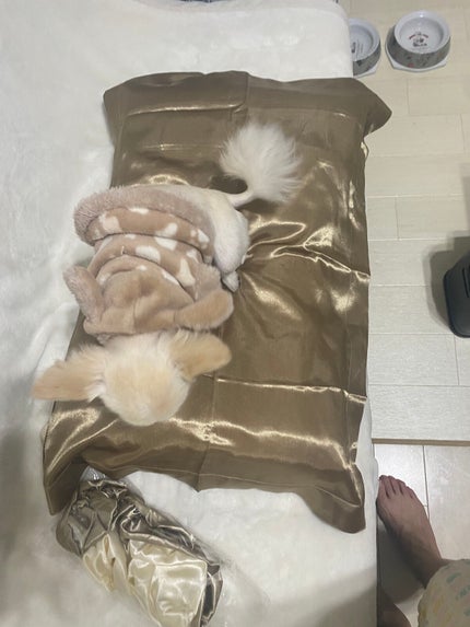 ナイトキャップ 美髪 ヘアキャップ 就寝用 パサつき予防/Qoo10/ヘアケアグッズを使ったクチコミ(6枚目)