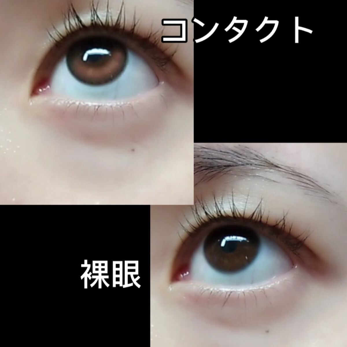Secretive Kristen/Hapa kristin/カラーコンタクトレンズを使ったクチコミ(2枚目)