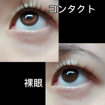 Secretive Kristen/Hapa kristin/カラーコンタクトレンズを使ったクチコミ(2枚目)