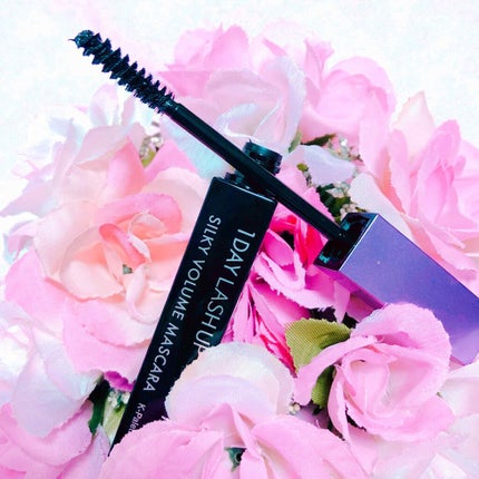 1DAY LASH UP シルキーロングマスカラa/K-パレット/マスカラを使ったクチコミ(3枚目)