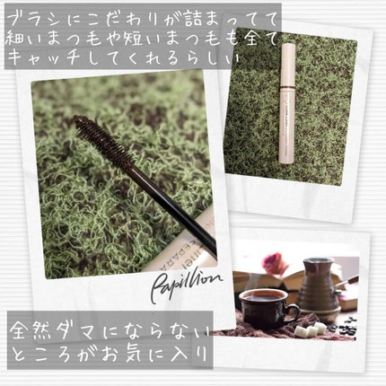 オールラッシュ マスク ロング&セパレート<マスカラ>/ラブ・ライナー/マスカラを使ったクチコミ(3枚目)