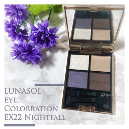 アイカラーレーション EX22 Nightfall(限定発売) / LUNASOL アイカラーレーション EX22 Nightfall(限定発売) / LUNASOL
