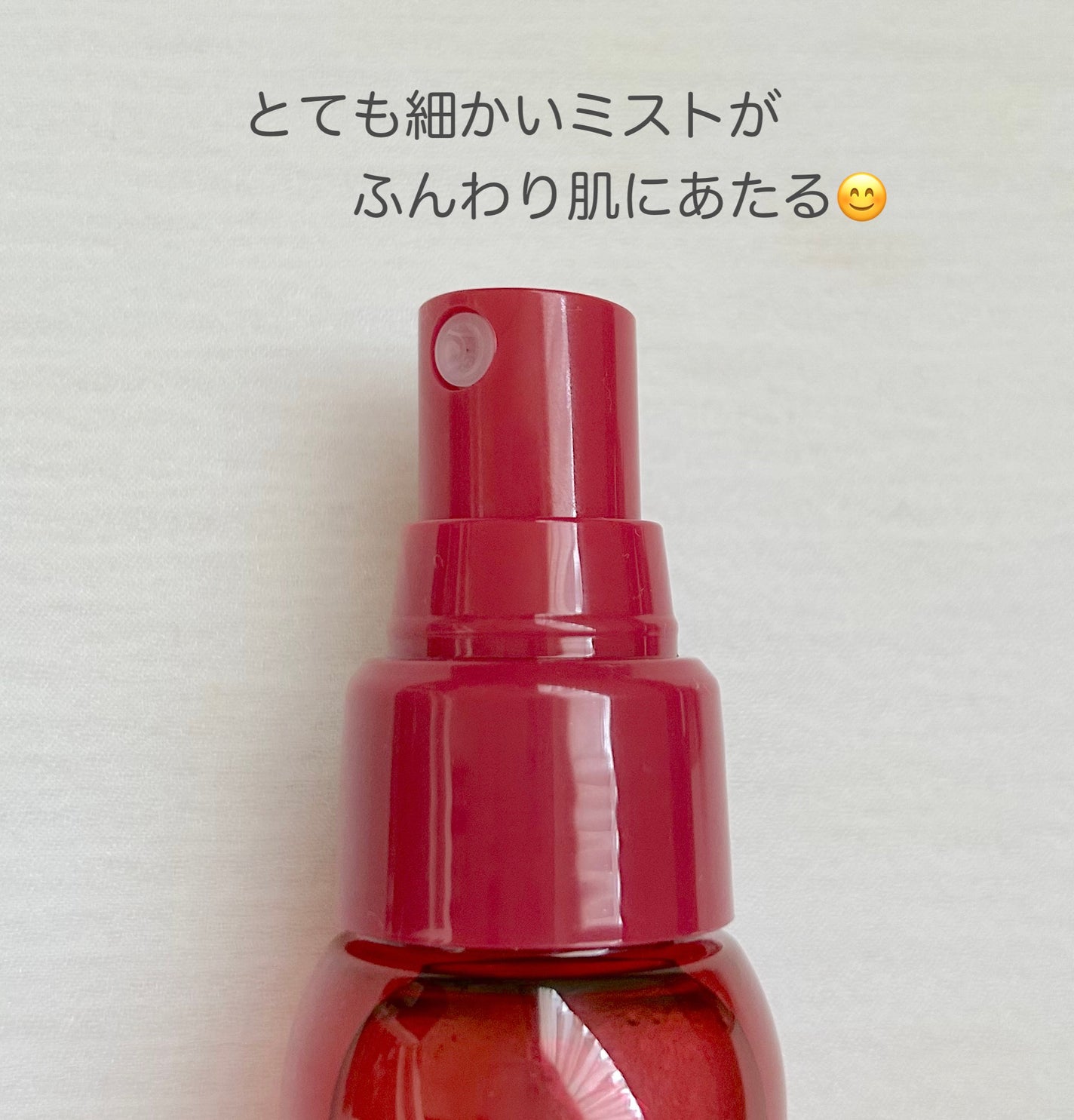 メイク キープ ミスト EX + モイスト TEA/コーセーコスメニエンス/フィックスミストを使ったクチコミ(3枚目)