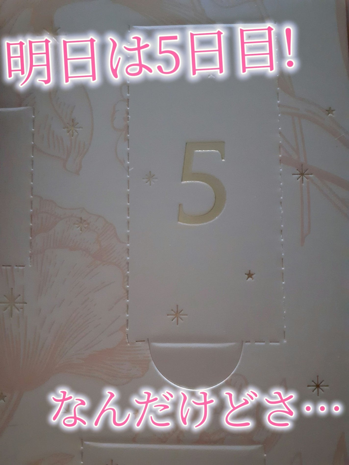 アドベントカレンダー /PEACH JOHN/その他キットセットを使ったクチコミ(5枚目)