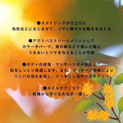 ユーフォリア・キンモクセイ マルチオイル/BIBIDAY/ヘアオイルを使ったクチコミ(4枚目)