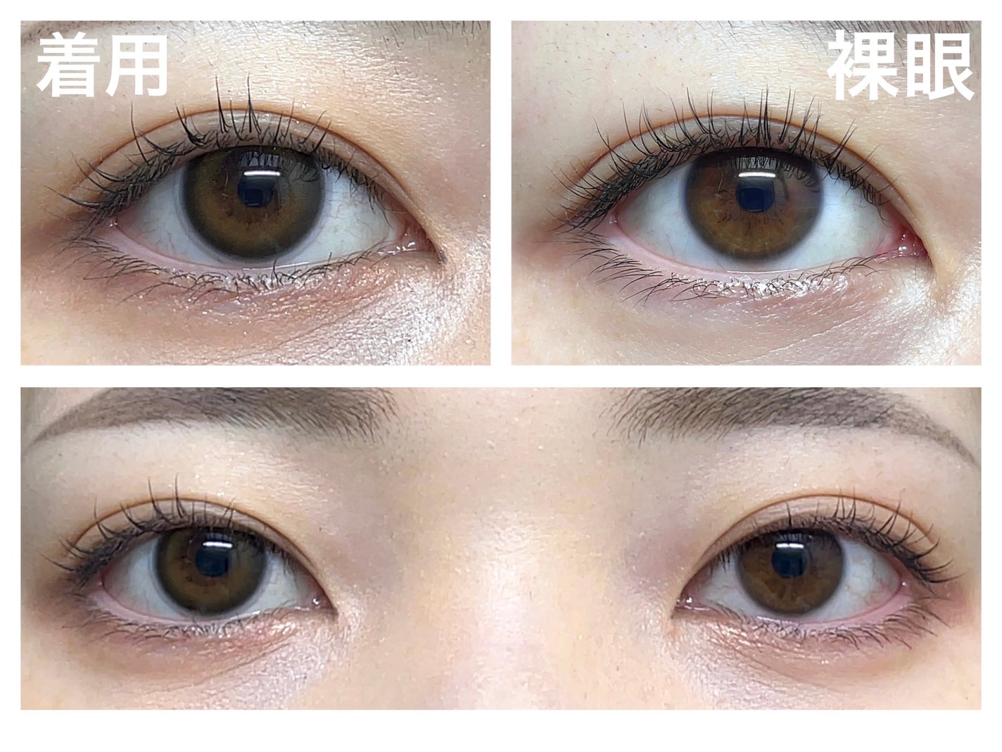 ReVIA 1day/ReVIA/ワンデー(1DAY)カラコンを使ったクチコミ(2枚目)