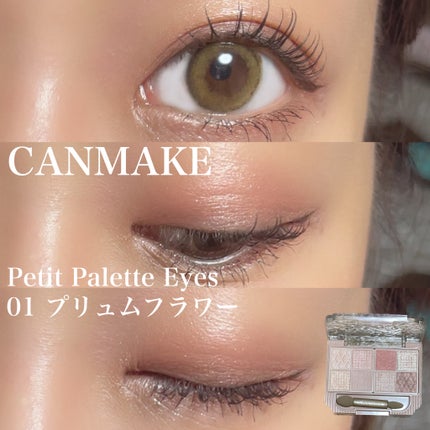 プティパレットアイズ/キャンメイク/パウダーアイシャドウを使ったクチコミ(1枚目)