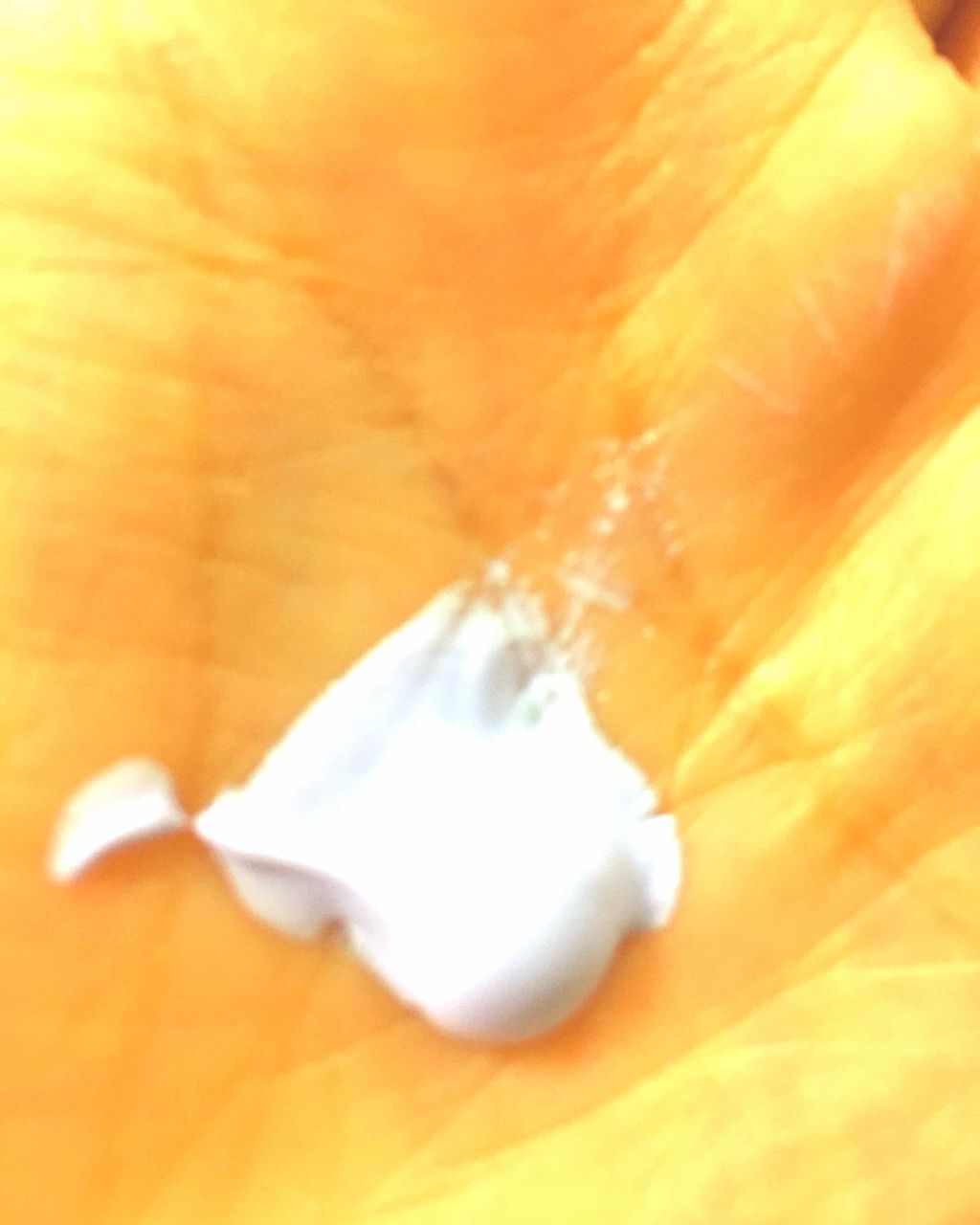 エアコットンメイクアップべース /THE FACE SHOP/化粧下地を使ったクチコミ(2枚目)