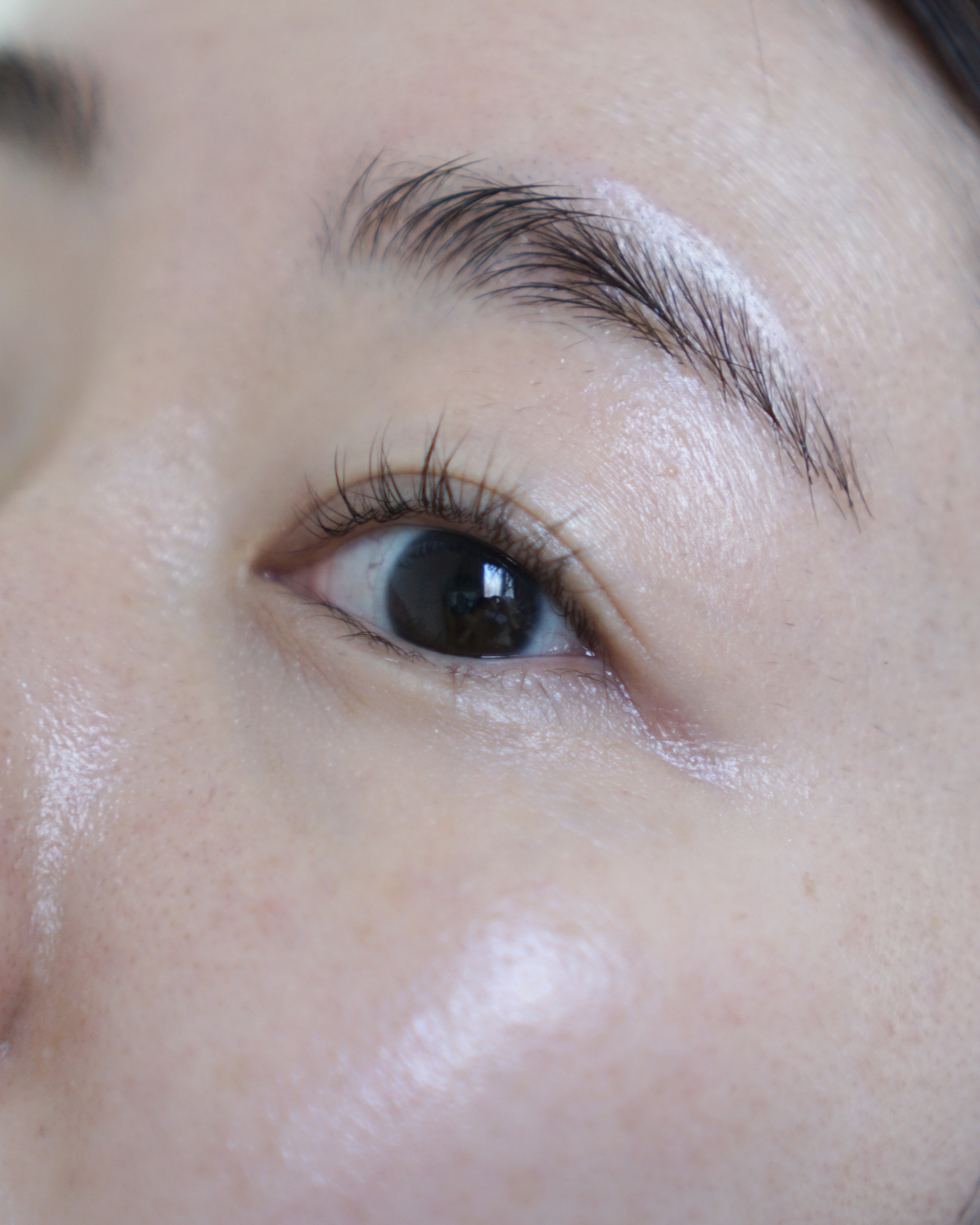 ラッシュリッチアイラッシュセラム/ロート製薬/まつげ美容液を使ったクチコミ（2枚目）