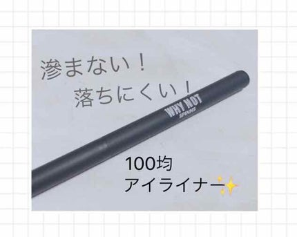 WHY NOT SPINNS リキッドアイライナー/DAISO/リキッドアイライナーを使ったクチコミ(1枚目)