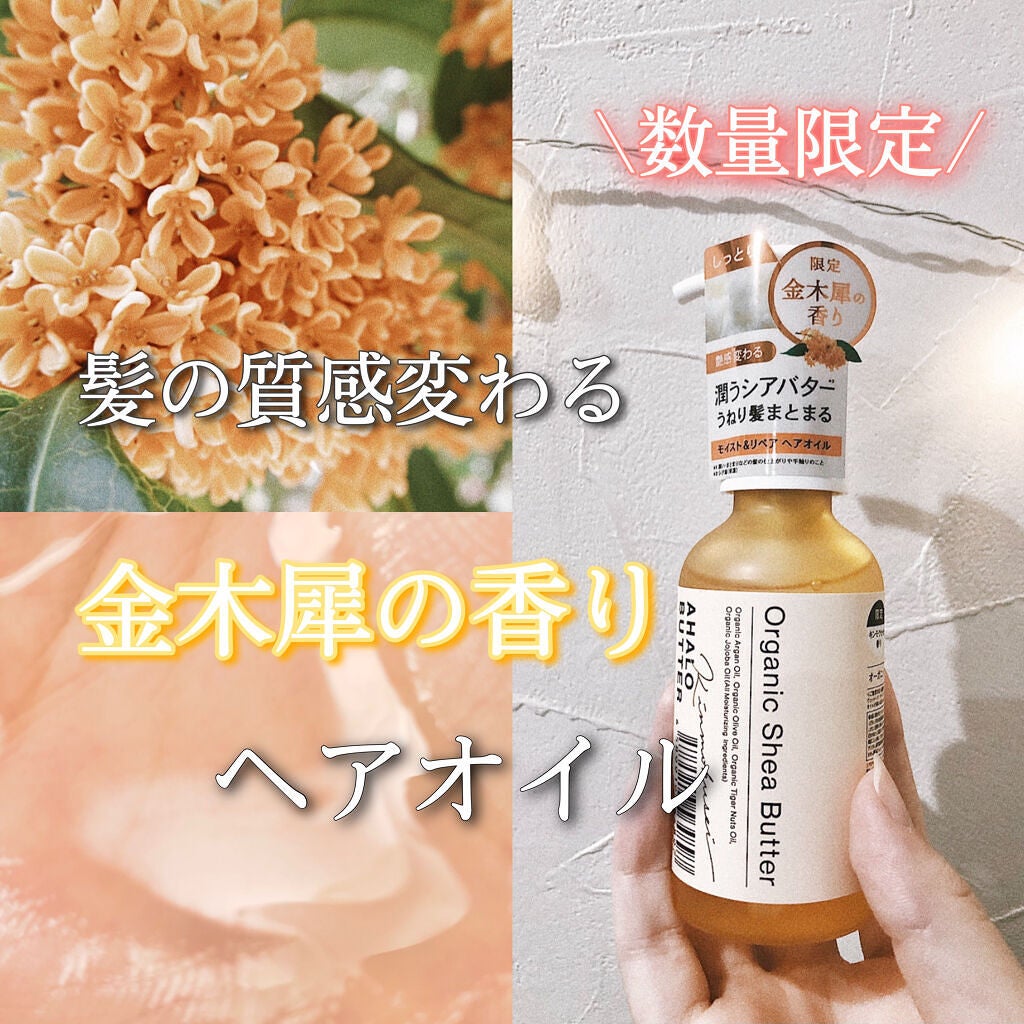 モイスト&リペア ヘアオイル/AHALO BUTTER/ヘアオイルを使ったクチコミ(1枚目)