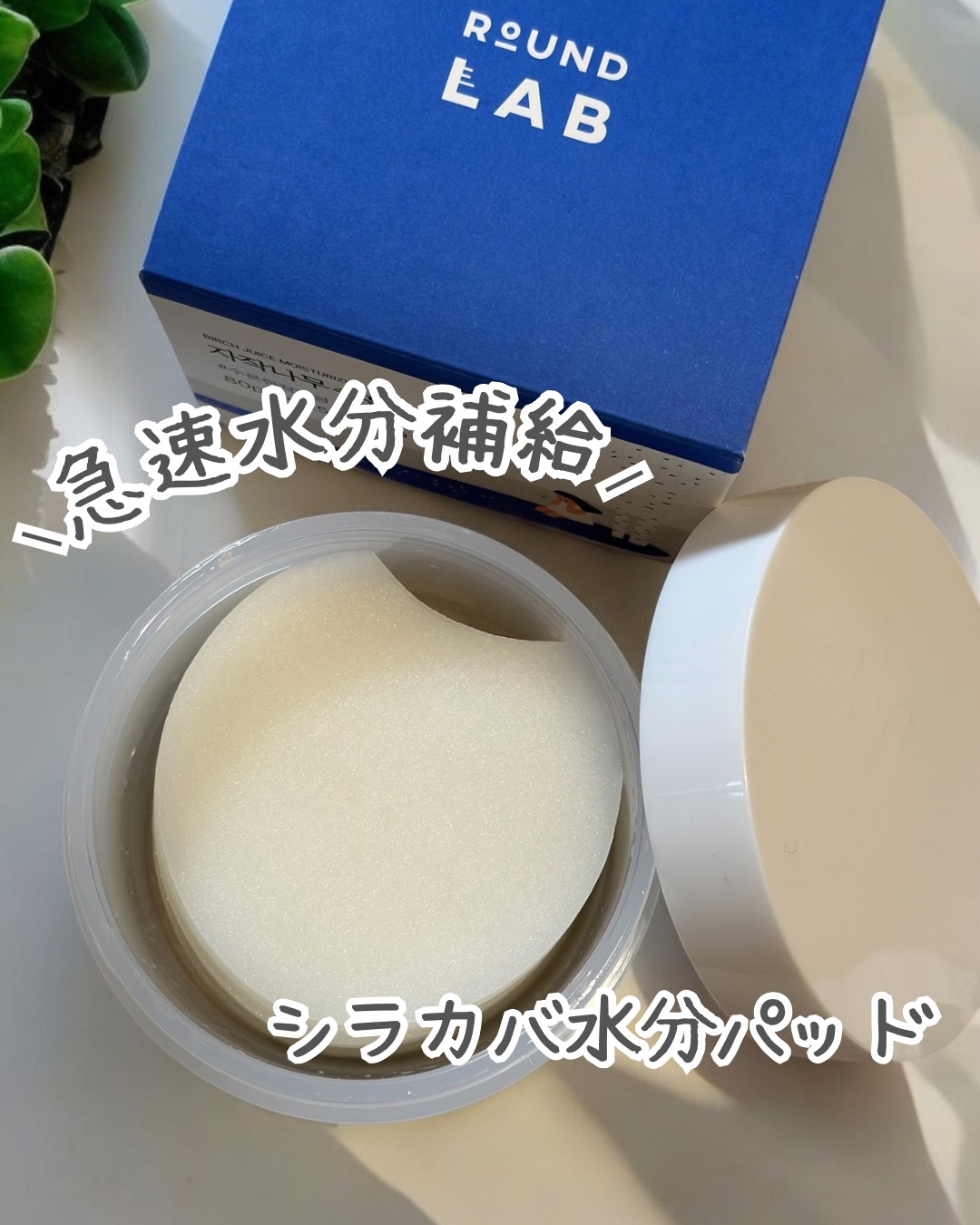 白樺水分パッド/ROUND LAB/トナーパッドを使ったクチコミ（1枚目）