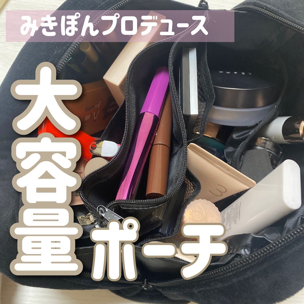 かわにしみきプロデュース ズボラでも収納できる!BIGマルチポーチBOOK/宝島社/雑誌を使ったクチコミ(1枚目)