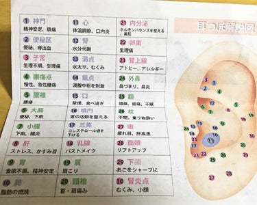 Le BRILLANT 耳つぼジュエリーのクチコミ「耳つぼジュエリー

色はカラフルなものと1色だけのものが売っていましたがカラフルの方にしました.....」（2枚目）