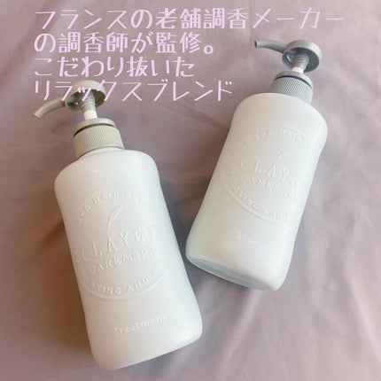 シャンプー/トリートメントR /CLAYGE/シャンプー・コンディショナーを使ったクチコミ(2枚目)
