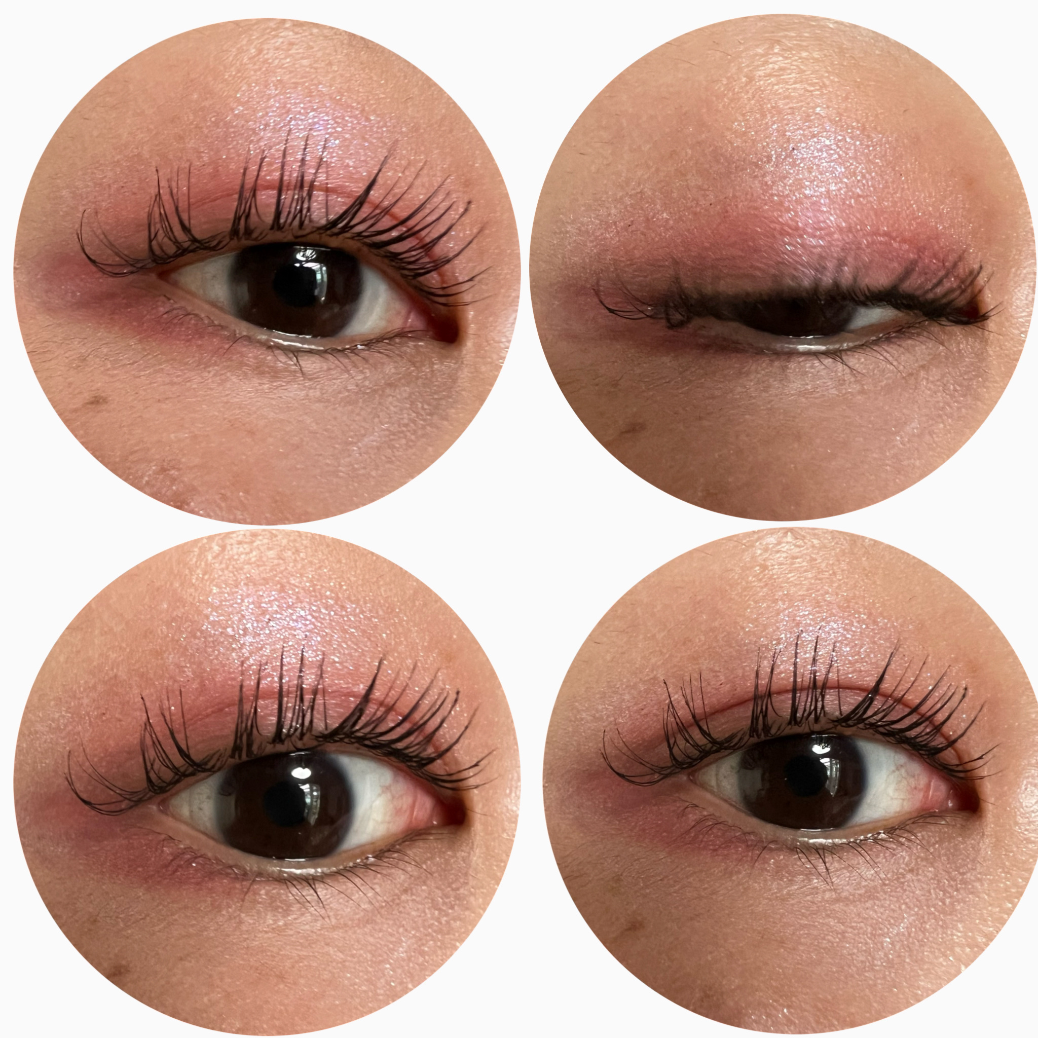 シグニチャー カラー アイズ/SUQQU/アイシャドウパレットを使ったクチコミ（3枚目）