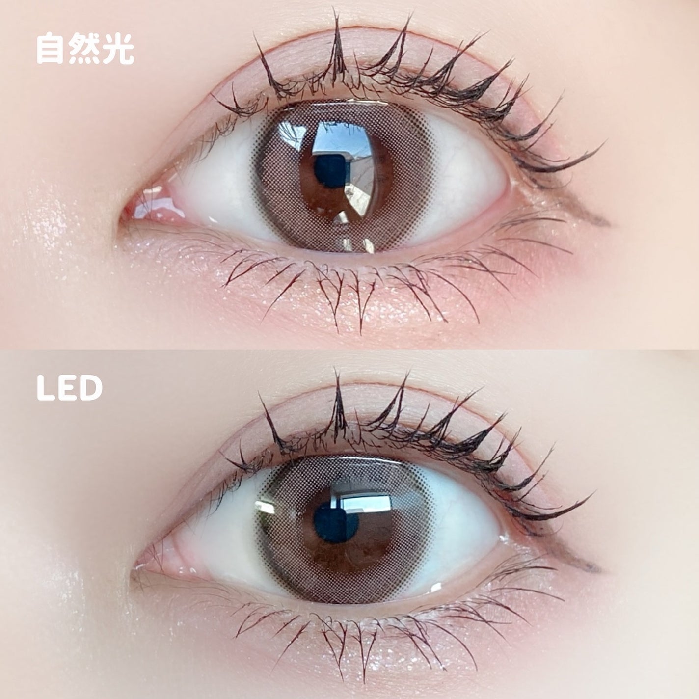 エバーカラーワンデーナチュラル モイストレーベルUV/エバーカラー/ワンデー(1DAY)カラコンを使ったクチコミ(3枚目)